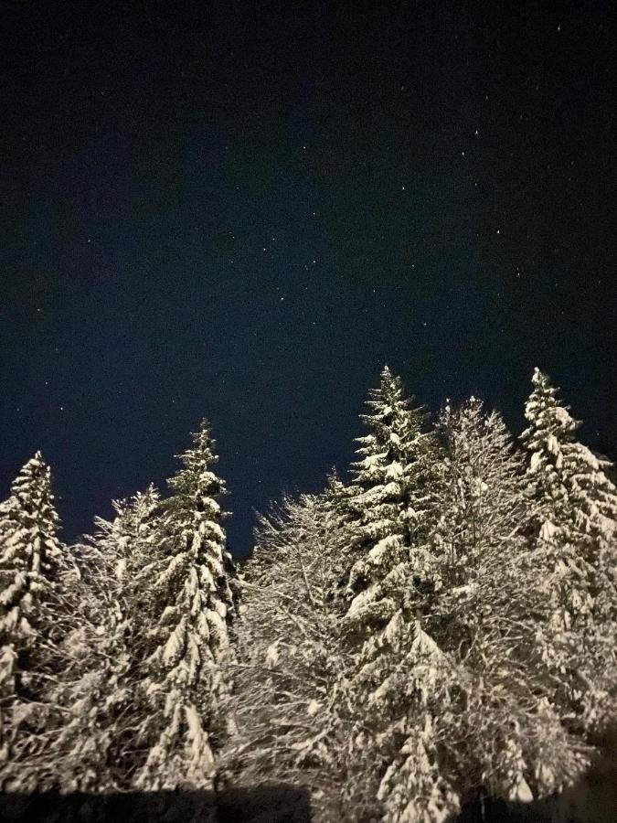 Apartma Rozi Appartement Kranjska Gora Buitenkant foto